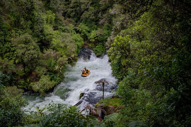 Rotorua Rafting - Kaituna River White Water Rafting - Reviews & Testimonials