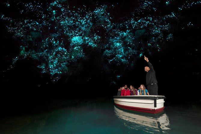 Rotorua to Auckland Afternoon Transfer With Waitomo Glow Worms - Itinerary Highlights