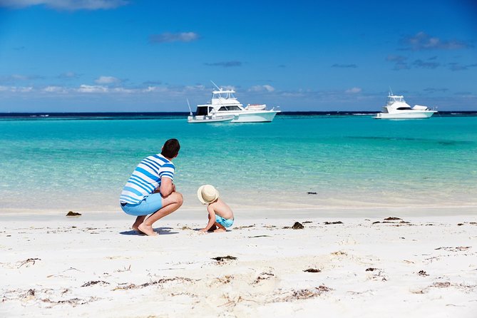 Rottnest Island Grand Tour Including Lunch and Historical Train Ride - Visitor Satisfaction and Reviews