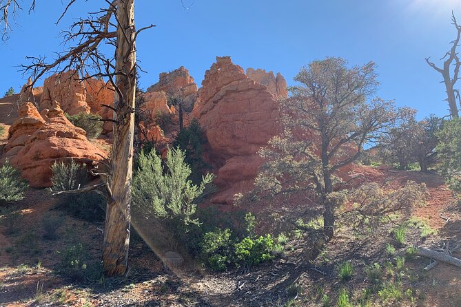 Rubys Horseback Adventures Utah Half Day Ride - Trail Exploration