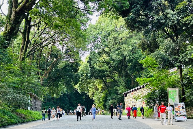 Sacred Morning Walk and Brunch Meiji Shrine - Morning Walk Schedule