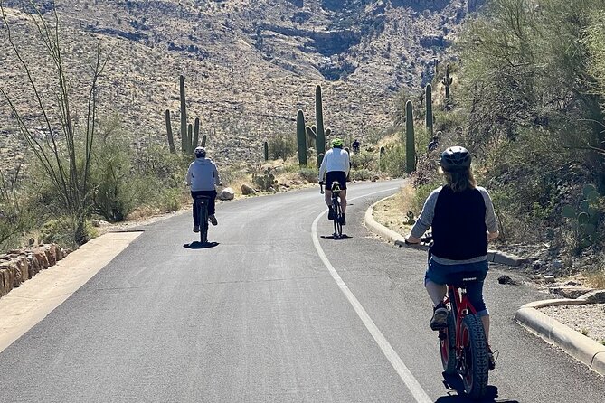 Saguaro National Park East E-Bike Tour - Reviews and Customer Feedback