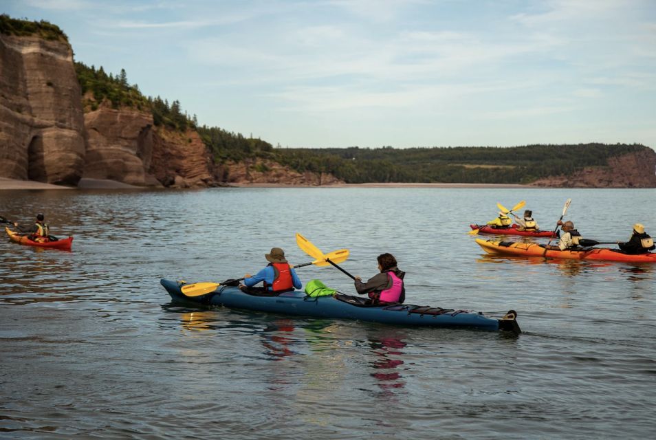 Saint John: Bay of Fundy Guided Kayaking Tour With Snack - Unique Experience Highlights