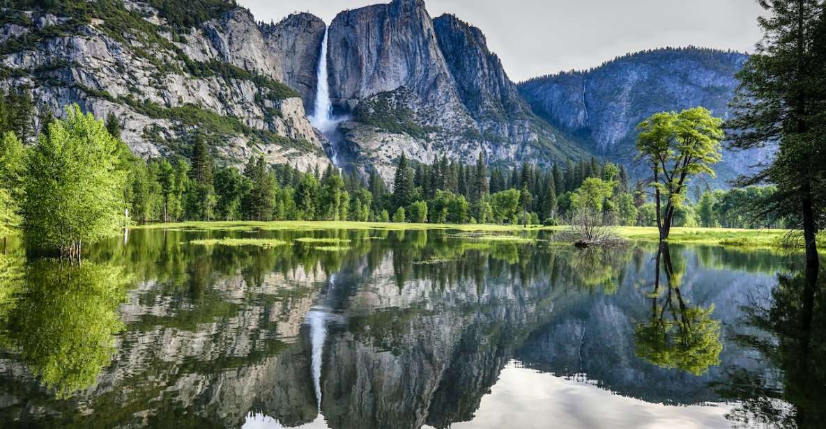 San Francisco: 2-Day National Park Tour With Yosemite Lodge - Tour Experience Highlights