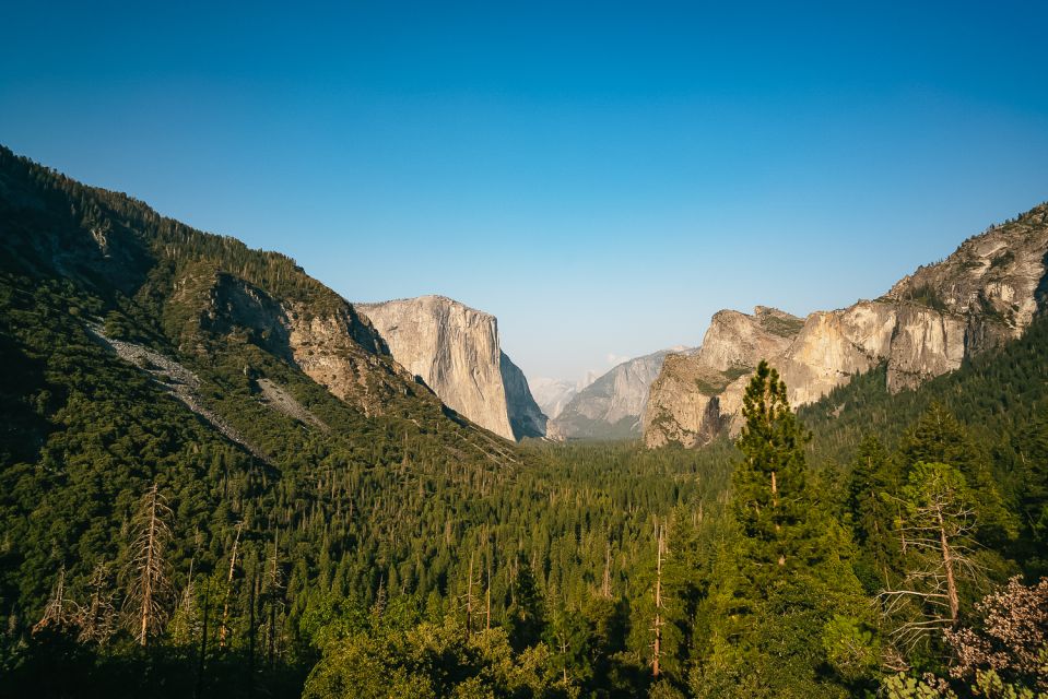 San Francisco: Day Trip to Yosemite With Giant Sequoias Hike - Full Description