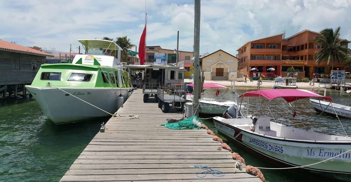 San Pedro: Guided Family Walking Tour - Experience Highlights and Adaptations