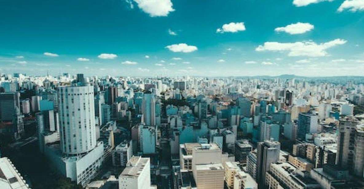 Santos Shore Excursion: Sao Paulo Sightseeing and Airport - Sightseeing Experience