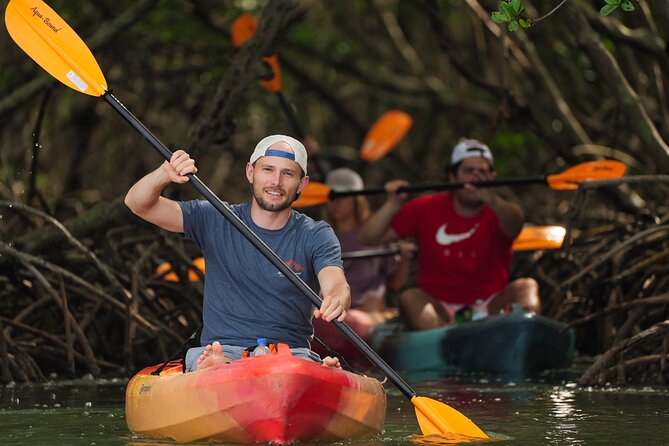 Sarasota Mangroves Kayaking Small-Group Tour - Itinerary