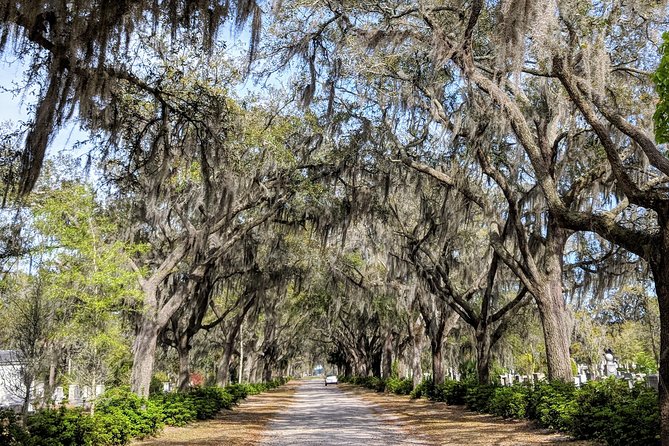 Savannah Private Tour of Historic District and Beyond - Personalized Itinerary Details