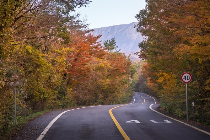 Scenic Jiri Mountain Autumn Foliage One Day Tour - Trekking Routes Overview