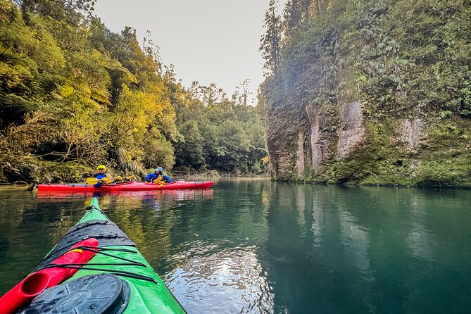 Scenic Lake McLaren Kayak Tour - Tour Highlights