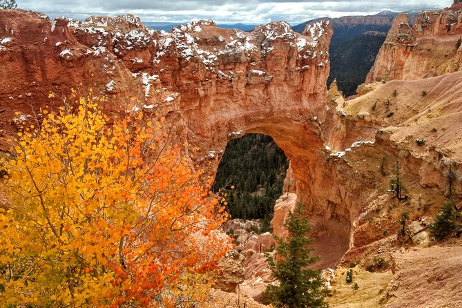 Scenic Tour of Bryce Canyon - Booking Process