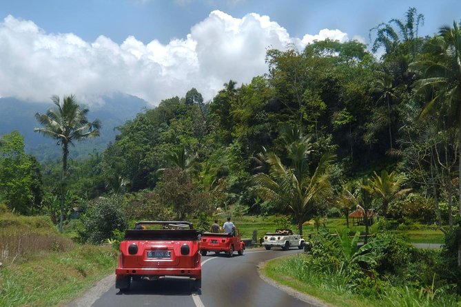 Scenic Ubud by Vintage Volkswagen 181 - Traditional Balinese Art Experience