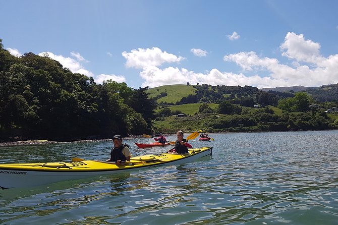 Sea Kayaking Christchurch, Lyttelton Harbour & Quail Island - Common questions