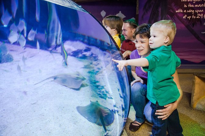 SEA LIFE Aquarium Arizona Admission Ticket - Visitor Benefits
