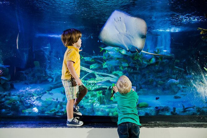 SEA LIFE Orlando Aquarium - Attractions and Activities