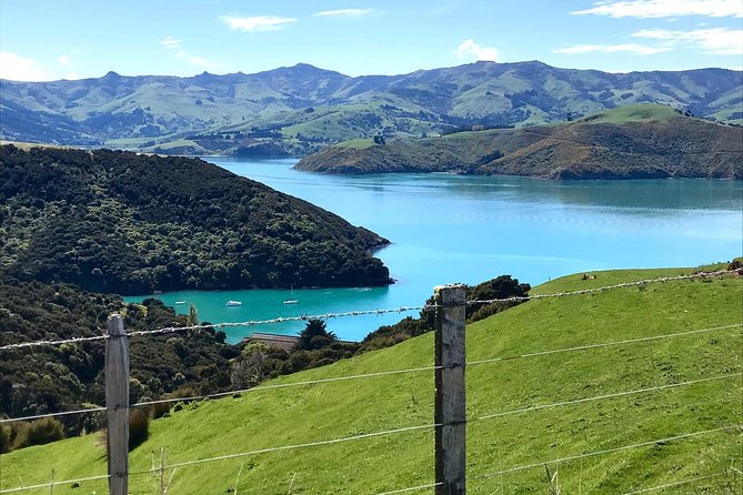 Sea to Summit- Electric Mountain Biking Tour in Akaroa - Inclusions and Gear Provided