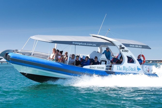 Seal Island Boat Tour From Victor Harbor - Reviews and Ratings