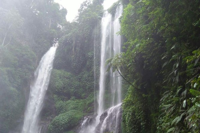 Sekumpul and Aling-Aling Waterfalls Private Tour With Jumps  - Nusa Dua - Inclusive Offerings