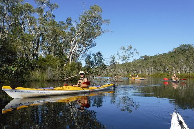 Self-Guided Noosa Everglades Kayak Tour - Meeting Point Details