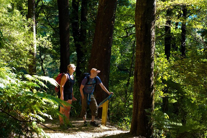 Self-Guided Queen Charlotte Track Walk From Picton - Trail Options and Difficulty Levels