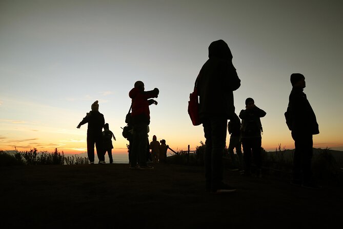 Semeru National Park Mount Bromo Day Trip From Malang City - Pricing and Booking Details