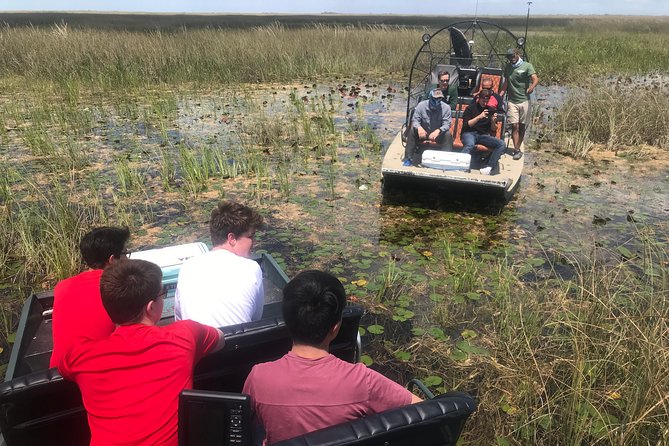 Semi-Private 1-Hour Airboat Tour of Miami Everglades - What To Expect