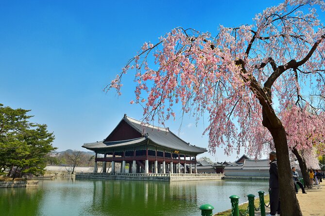 Seoul Full Day Private Tour Gyeongbokgung Palace, Insadong & More - Cancellation Policy Details