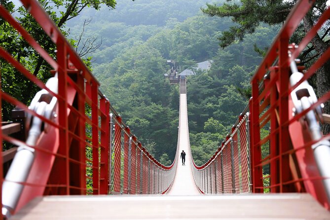 Seoul: South Korea DMZ, Mt. Gamak & Fall Foliage With Lunch - Reviews and Ratings Information