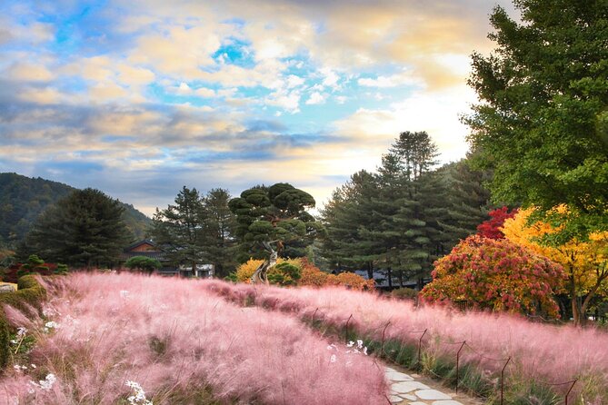 Seoul Vicinity 5 in 1: Nami Island, Garden of Morning Calm & More - Traveler Experience