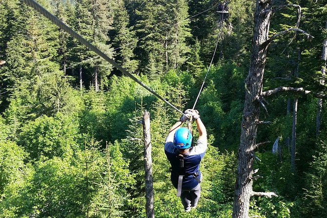 Seward Alaska Small-Group Ziplining Experience in Nature - Inclusions