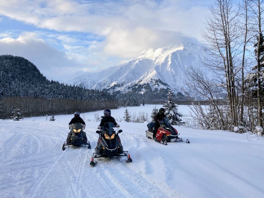 Seward: Kenai Fjords National Park Guided Snowmobiling Tour - Experience Highlights