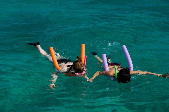 Shallow Water Snorkeling and Dolphin Watching in Key West - Dolphin Encounter and Snorkeling Experience