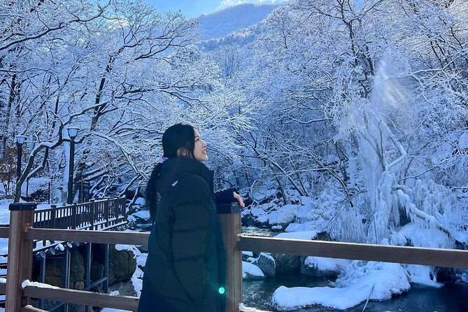 Shared Korean Winter Tour at Nami Island With Professional Guide - Winter Activities