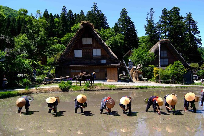 Shirakawa-Go From Nagoya One Day Bus Self-Guided Tour - Self-Guided Tour Tips and Recommendations