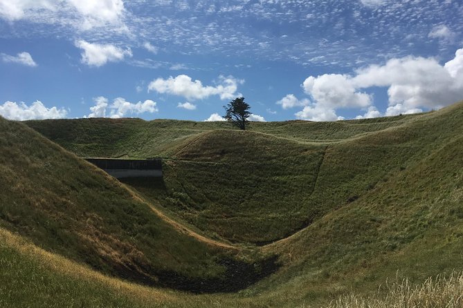 Shore Excursion: Half-Day Auckland Volcanoes Tour - Meeting and Transportation