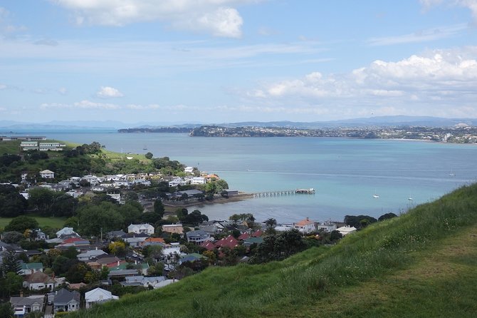 Shore Excursion: Half Day Small Group Auckland Scenic Tour - 4 HOURS - Customer Reviews and Satisfaction