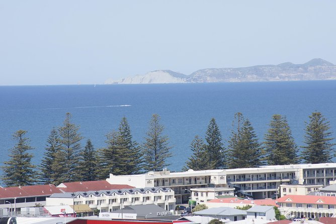 Shore Excursion: Napier and Surrounding Countryside Scenic Tour - Meeting and Logistics