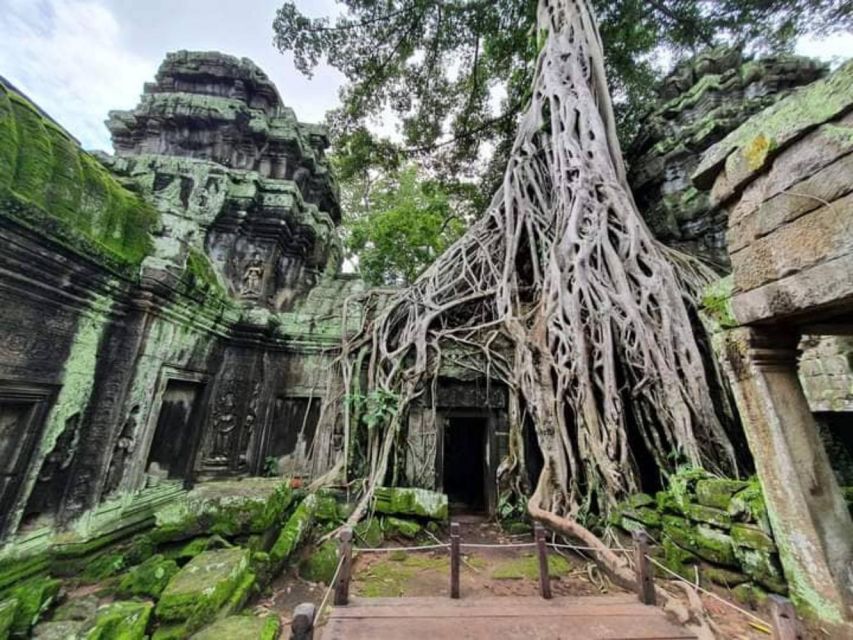 Siem Reap: Angkor Wat Sunrise Bike Tour With Breakfast - Experience Itinerary