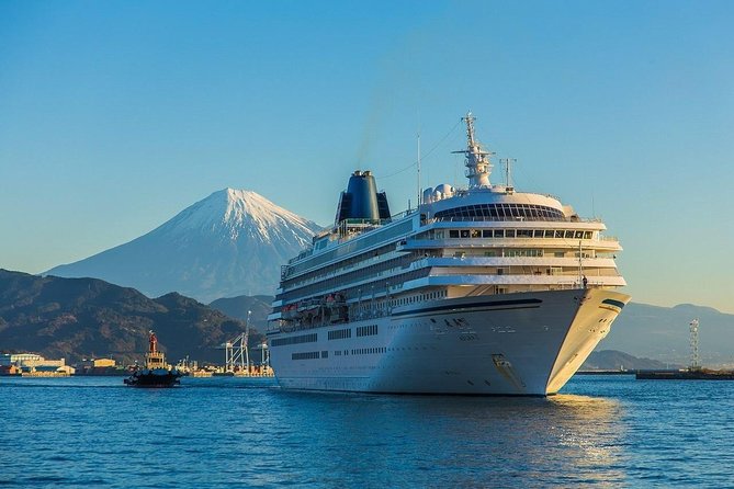 Sightseeing Around Shimizu Port for Cruise Ship Passengers - Scenic Views and Photo Opportunities