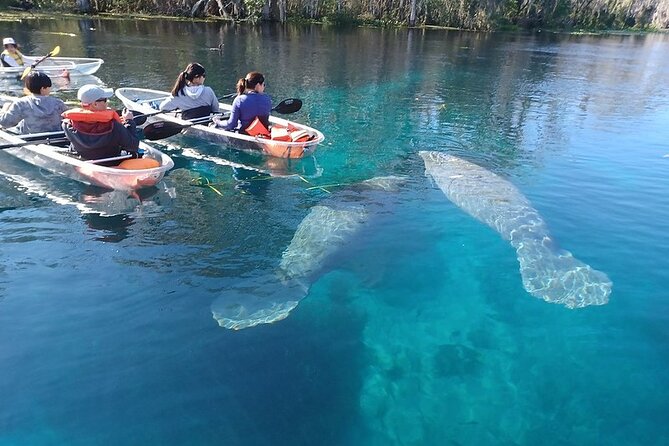 Silver Springs Clear Kayak Or Paddle Board Wildlife Tour  - Orlando - Equipment Options and Views