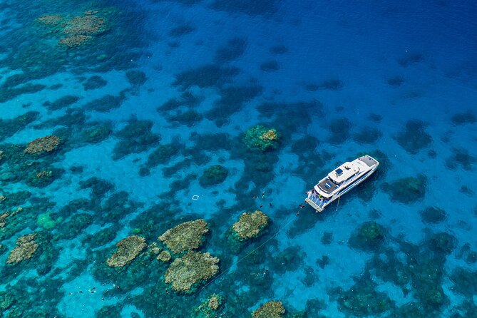 Silverswift Dive and Snorkel Great Barrier Reef Cruise - Experience Options