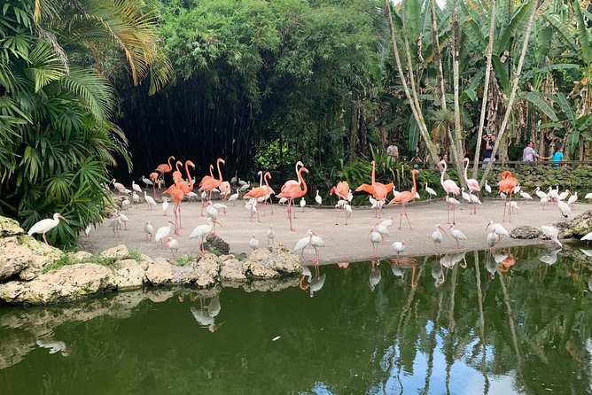 Skip the Line: Flamingo Gardens Admission Ticket in Fort Lauderdale - Ticket Inclusions