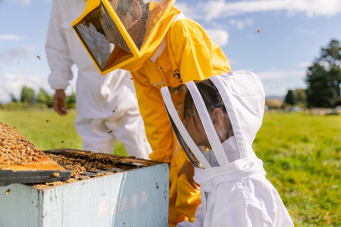 Small-Group Beekeeping Experience in Tauherenikau - Cancellation Policy