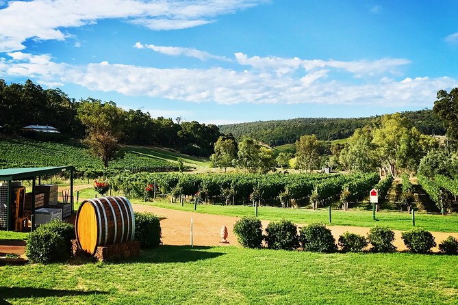 Small-Group Bickley Valley Wine Tour - Overview
