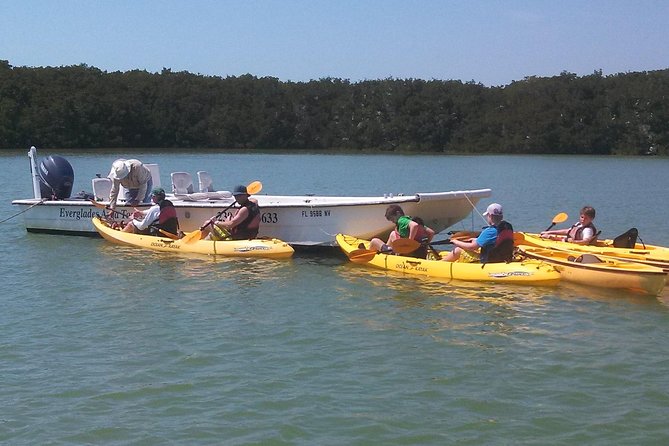 Small Group Boat, Kayak and Walking Guided Eco Tour in Everglades National Park - Expert Guided Activities