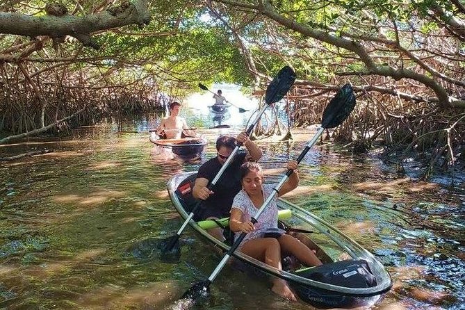 Small-Group Clear Kayak Tour in Shell Key - Inclusions and Exclusions