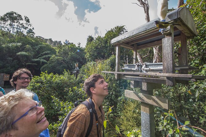 Small Group Daytime 2-Hour Eco Wildlife Tour at Zealandia - Experience Highlights