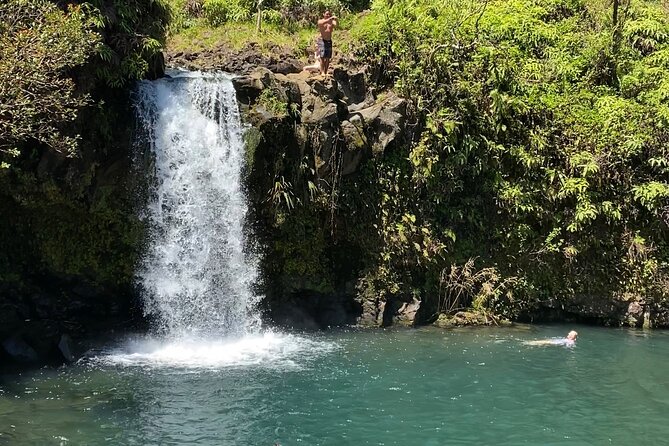 Small-Group Full-Day Maui Nature Tour - Cancellation Policy Details