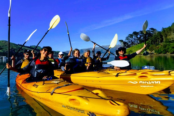 Small Group Guided Sea Kayaking in Akaroa Marine Reserve - Additional Information